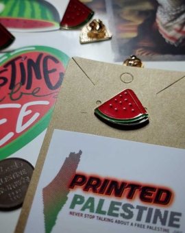 Watermeloen Cartoon Pin