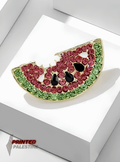 Watermeloen broche speld kopen