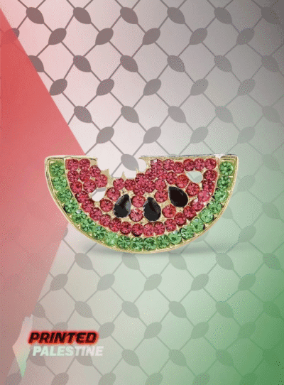 Diamanten watermeloen broche